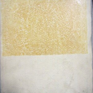 Erickson Tow Tractor Model TE3 SCR Instruction Manual